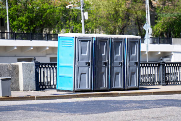 Best Porta potty rental for festivals  in Lapeer, MI
